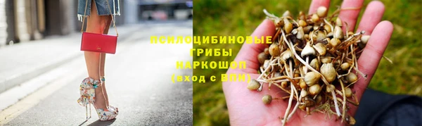 дживик Абинск