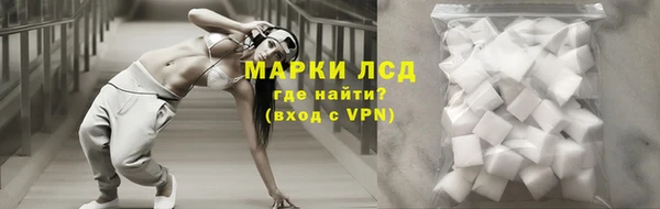дживик Абинск